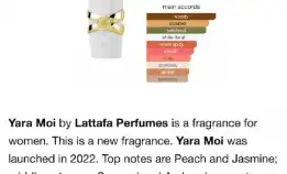 Parfume Yara, Yara Moi, Yara Tous , Asad Edp 100ml | Lattafa