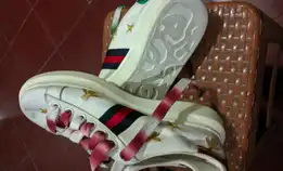 Alexandre Mcqueen Collab Gucci