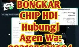 Jasa Layanan Bongkar Chip Hdi