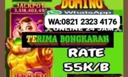 Agen Terima Bongkar Chip Aman Amanah Terpercaya