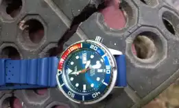 Alba Dive Watch