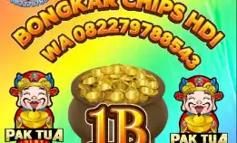 Trima Jual Beli Chips Hig Dmno Wa 0822-7978-8543