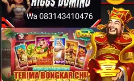 Terima Bongkar Coin Chip Hdi Cari Stok Bongkar