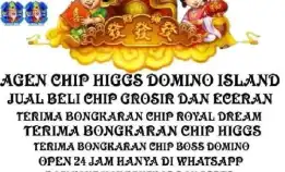 Terimaah Bongkar Chip Hdi