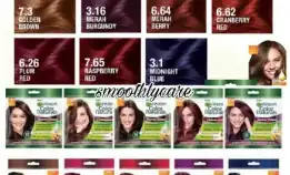 Garnier Hair Color All Varian Colour Kemasan Sachet Pewarna Rambut / Cat Rambut