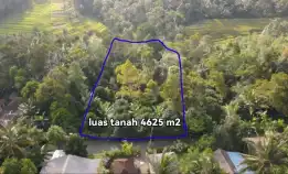 Dijual Tanah Ada Mata Air Di Pupuan Tabanan Bali