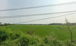 Dijual Tanah Sawah Luas Shm Di Desa Bakung Tangerang