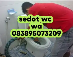 Sedot Wc Cilacap