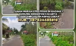 Tanah Dijual : Tanah Murah Strategis Di Gading 1 Gunung Kidul Yogyakarta.Lt1500 Shm Jalan Aspal