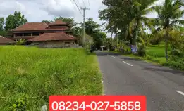 Disewakan Tanah 2825 M2 Di Kaba-Kaba Tabanan Dkt Seseh,Munggu,Canggu