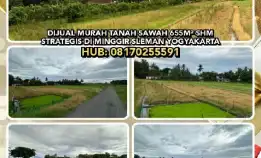 Dijual Murah Tanah Sawah 655m² Shm Strategis Di Minggir Sleman. Hp : 08170255591* 