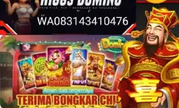 Terima Bongkar Chip Dmino