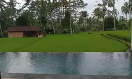 Jual Villa Cuan Ubud Bali