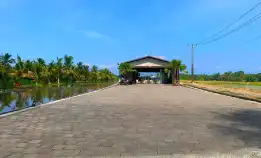Disewakan tanah di Kedungu dkt Pigstone beach,Pererenan, Badung Bali 