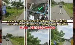 Dijual Murah Tanah Strategis Jl. Raya Semarang - Purwodadi, Demak.Shm 4.933m². H: 081325769706>> 