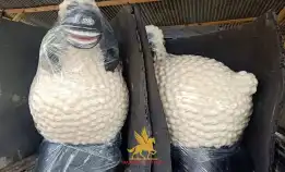 Pusatnya Patung Fiberglass