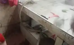 Tukang Perbaikan Wc Mampet 