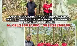 Tanah Strategis Pinggir Jalan Utama, Dekat 3 Pantai Gunungkidul Yogya. Shm 10341m² Murah