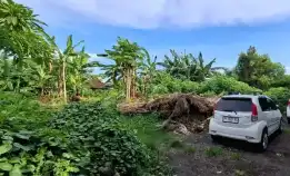 Dijual 24,5 Are, Jl. Nangka Permai Subak Dalem Gatsu Tengah Peguyangan Kangin Denpasar