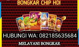 Bongkar Chip Terpercaya