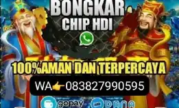 Terima Bongkar Coin Chip Hdi Cari Stok Bongkar