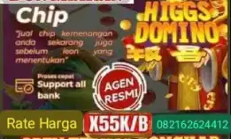 Agen Jasa Chip Hdi Terima Bongkarran 24 Jam