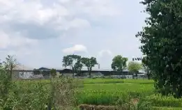 Tanah Sawah Zona Kuning Utara Jalan Solo Tawangmangu 