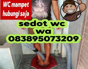 Sedot Wc Banyumas/Pwt