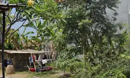 Dijual 2,2 Are, Jl. Kayu Tulang Selatan Canggu Kuta Utara
