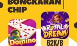 Bongakar Chip Hdi Dan Rd