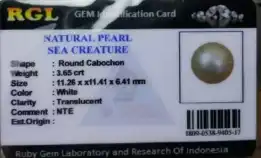 Pearl Natural Natural Mutiara