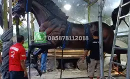 Patung Kuda Besar