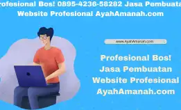 Profesional Bos! 0895-4236-58282 Jasa Pembuatan Website Profesional Ayahamanah.Com