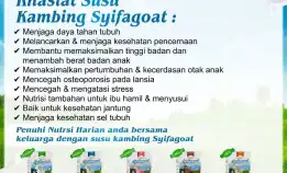 0812-1567-8455 Supplier Susu Kambing Etawa Syifagoat Di Tulungagung Bondowoso