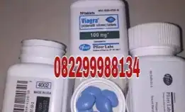 Jual Obat Kuat Viagra Asli Di Pulo Gebang Cod 082299988134 Toko Obat Kuat Viagra Asli Di Pulo Gebang