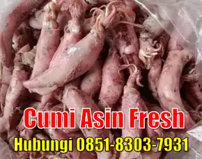 Fresh Segar, Jual Cumi Asin Baby Cumi Kabupaten Banggai