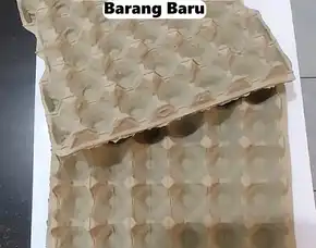 Krat Telur Karton Kardus Hemat Anggaran Penebel Tabanan Bali (118)