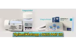 Pusat Obat Kuat Di Gunungkidul Cod 082220467122 Jual Viagra Asli Di Gunungkidul