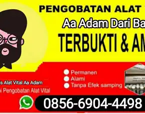 Pengobatan Terapi Vitalitas Pria Banjarmasin Aa Adam Wa 0856-6904-4498