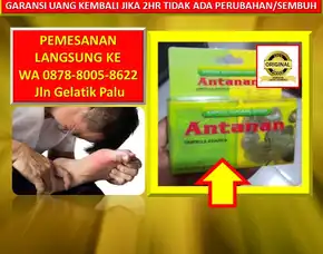 Wa: 0878-8005-8622 Obat Kolesterol Alami Tradisional Zaidul Akbar Di Kota Palu