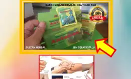 0878-8005-8622 Obat Alami Kolesterol Untuk Ibu Menyusui Di Kota Palu