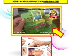 Wa: 0878-8005-8622 Obat Asam Urat Untuk Penderita Hipertensi Di Kota Palu