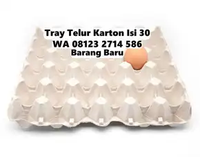 Karpet Telur Karton Nyaman Dipakai Selemadeg Tabanan Bali (121)