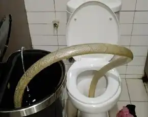 Ahli Wc Mampet Bergaransi