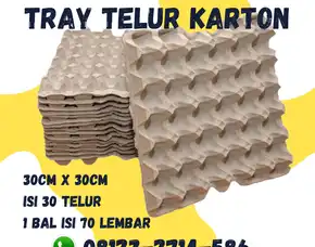 Grosir Egg Tray (Tray Telur) Kirim Ke Aikmel Lombok Timur (21)