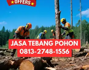 Jasa Tebang Pohon Cangkringan