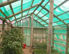 Jasa Pembuatan Greenhouse Bambu Terbaik, , Bangil, Pasuruan