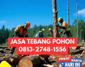 Jasa Tebang Pohon Tempel