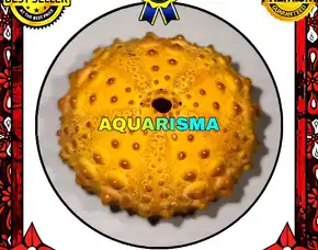 1 Pcs Cangkang Bulu Babi Big Golden Echinus Tylodes Echinoidea Sea Urchins Grade A+