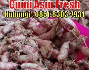 Fresh Segar, Jual Cumi Asin Baby Cumi Kabupaten Kutai Kartanegara
